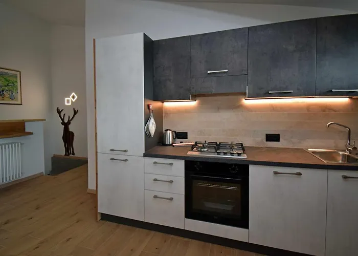 Apartament Dolom Legno Vecchio-padola-dolomiti-rustic & Modern Padola
